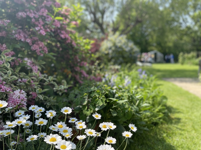 Whitstable Joy Lane Gardens